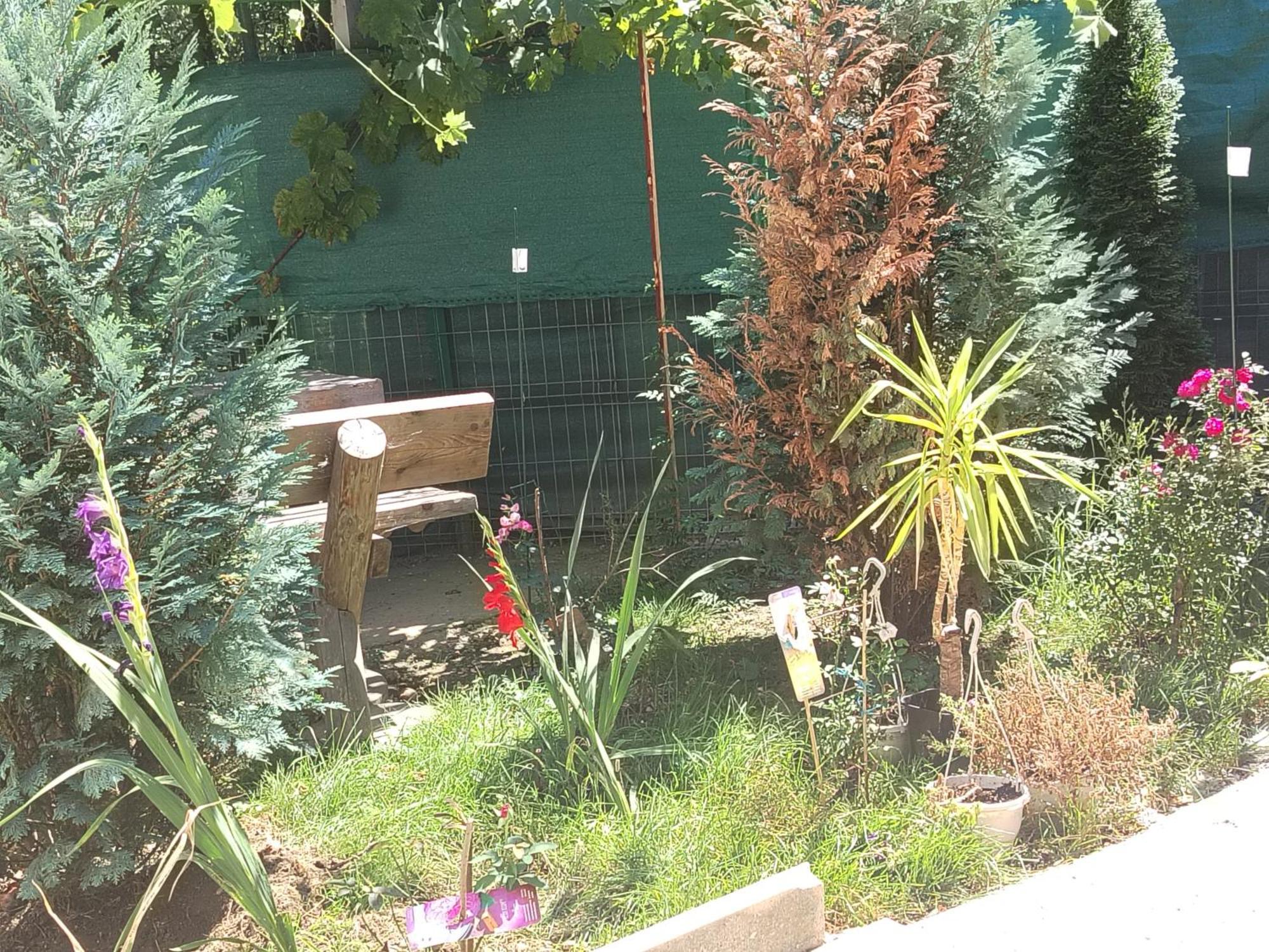 Casa Haiducilor בראשוב מראה חיצוני תמונה